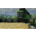GIANTS Software Farming Simulator 2013X360 - 1399740 - zdjęcie 3